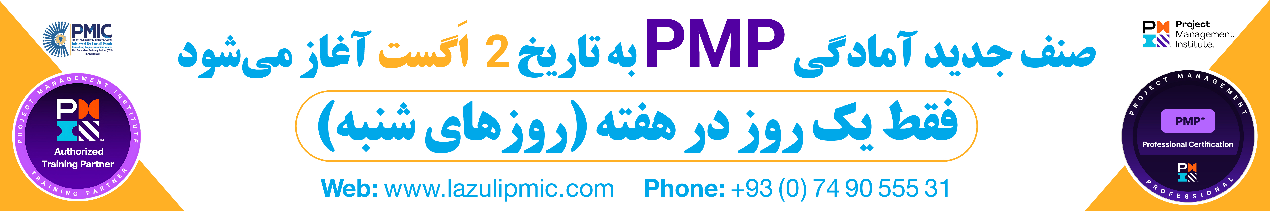 PMIP ad banner